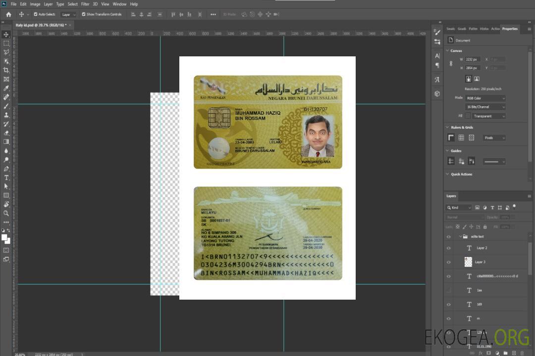 Carte d'identité du Brunéi template Carte d'identité du Brunéi template